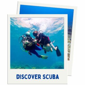 discover scuba diving phi phi