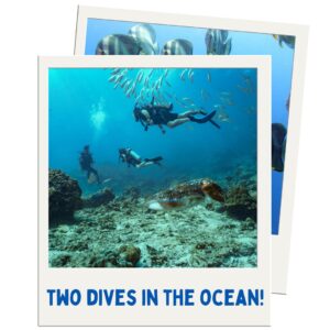 dsd ocean dives