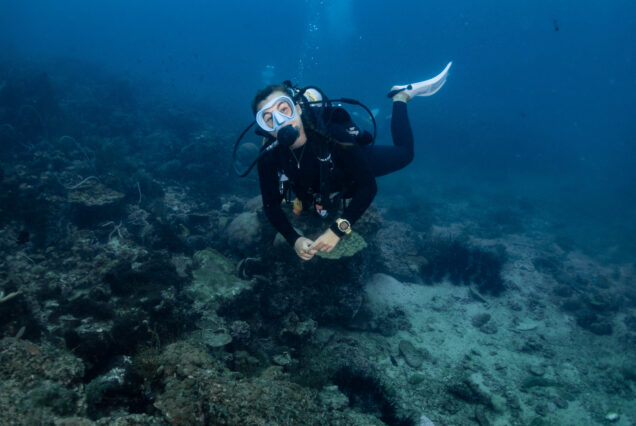 padi adventure dives, phi phi island, scuba girl, peak buoyancy