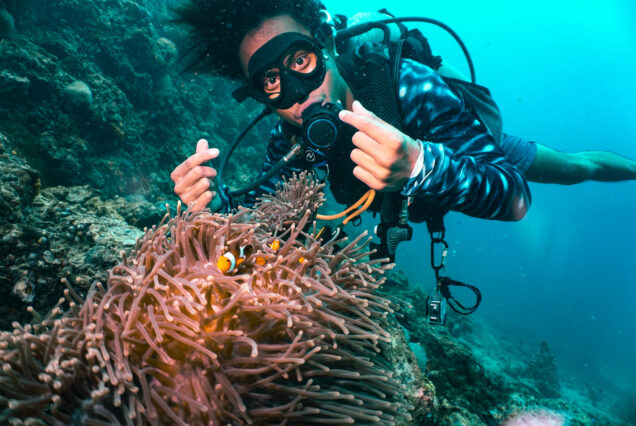 scuba diving phi phi