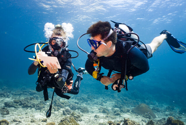 advanced open water phi phi, padi, specialty diver, navigation adventure dive students